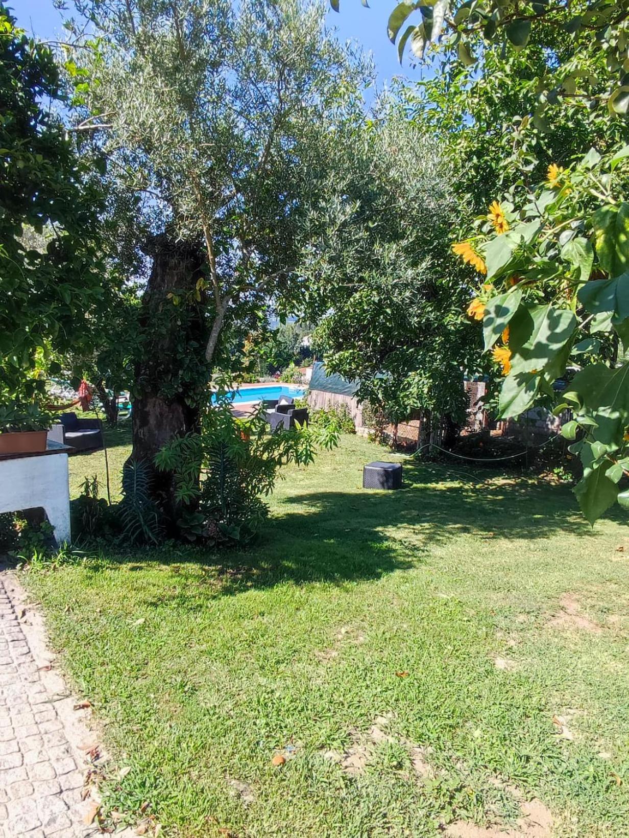 Casa Matreiro Villa Prozelo Exterior photo